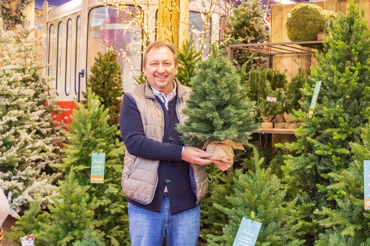 Progetto Ri-albero: 300 vecchi alberi di Natale smaltiti correttamente