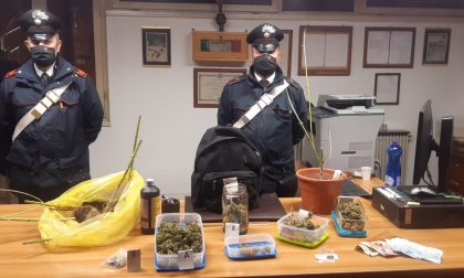 Coltivazione e detenzione di marijuana: 20enne arrestato a San Pietro in Cariano