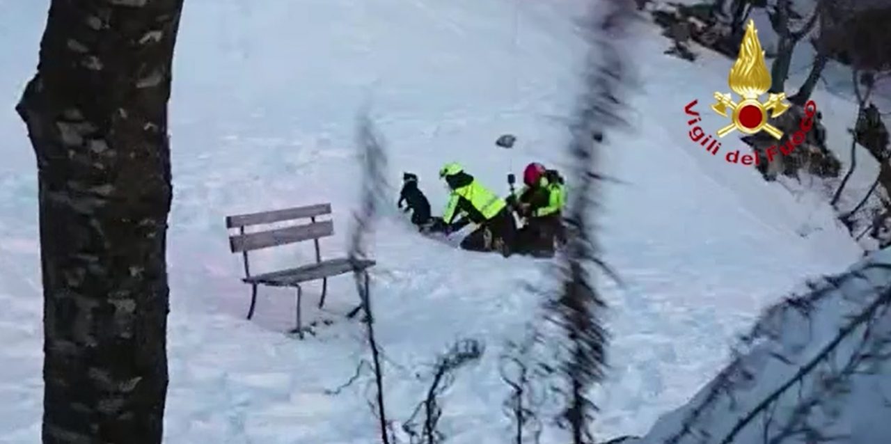 Monte Baldo, precipitano in un dirupo durante la caccia: due cani salvati dall’elicottero Drago 82