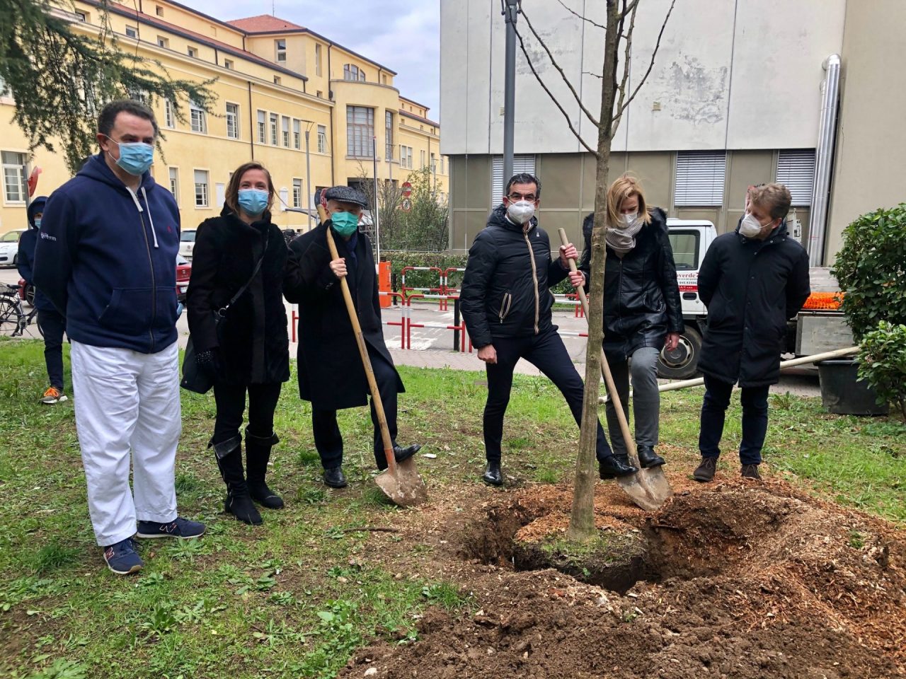 Un albero in ricordo delle vittime del Covid