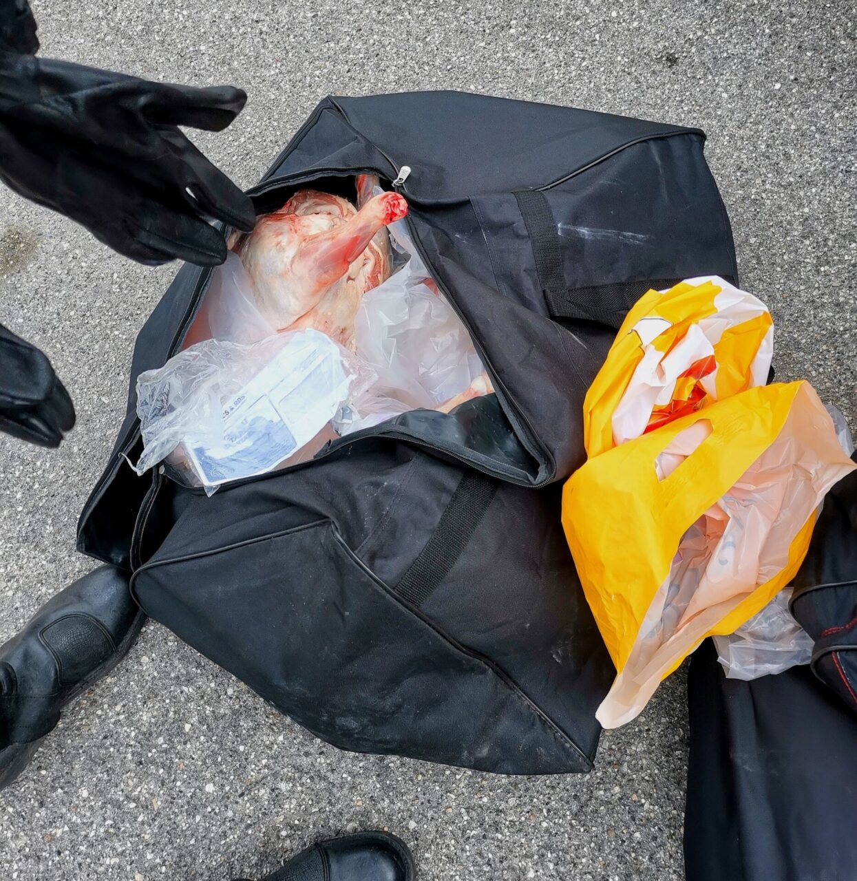 Sequestrati 250 chili di generi alimentari trasportati in violazione delle norme igienico-sanitarie