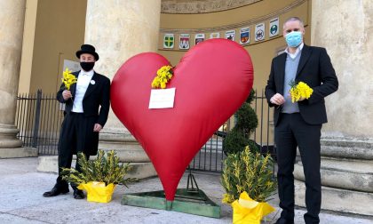 Posizionato sulla scalinata di palazzo Barbieri il cuore rosso di Verona per l'8 marzo