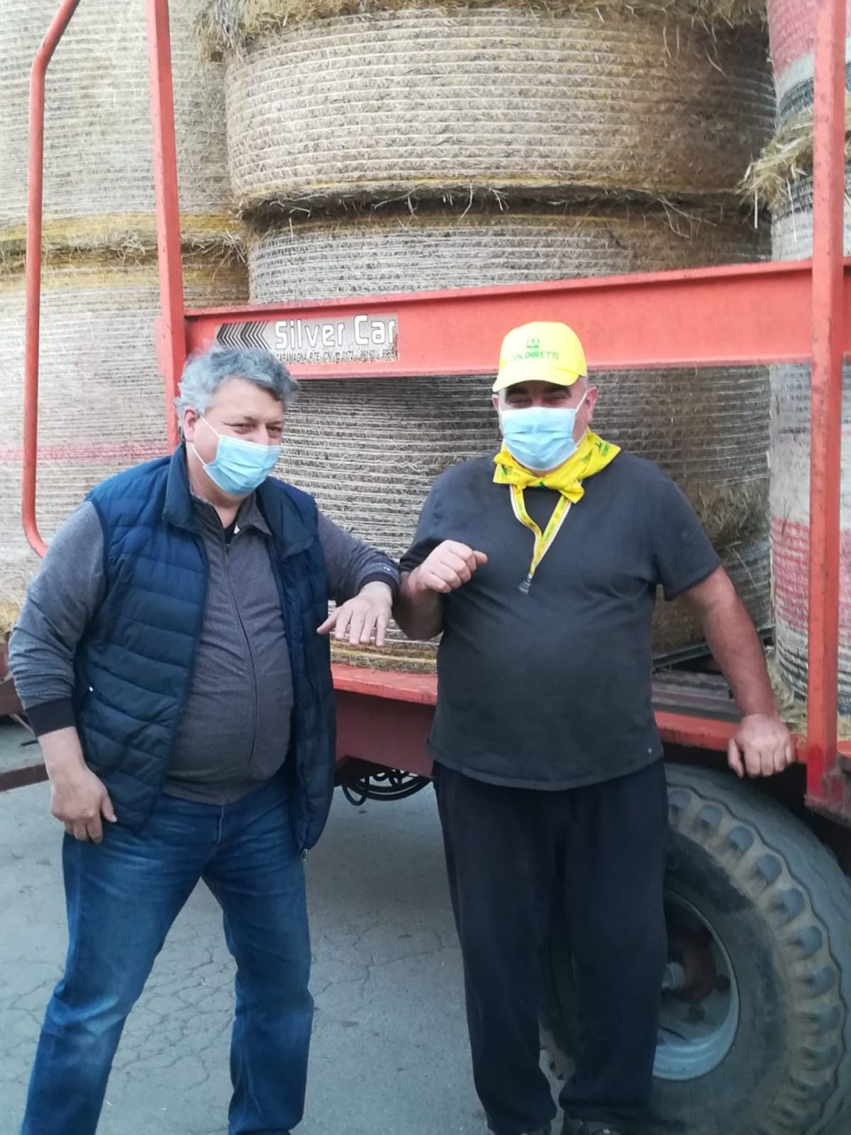 Donate 8 rotoballe di fieno per sfamare 44 cavalli del circo Togni