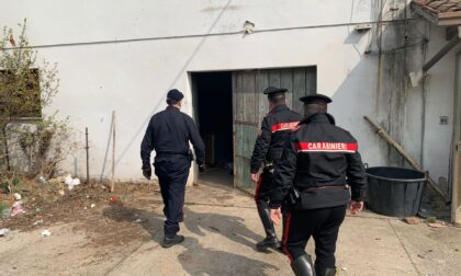 Prendono possesso di un edificio abbandonato e rubano energia elettrica: cinque nordafricani denunciati