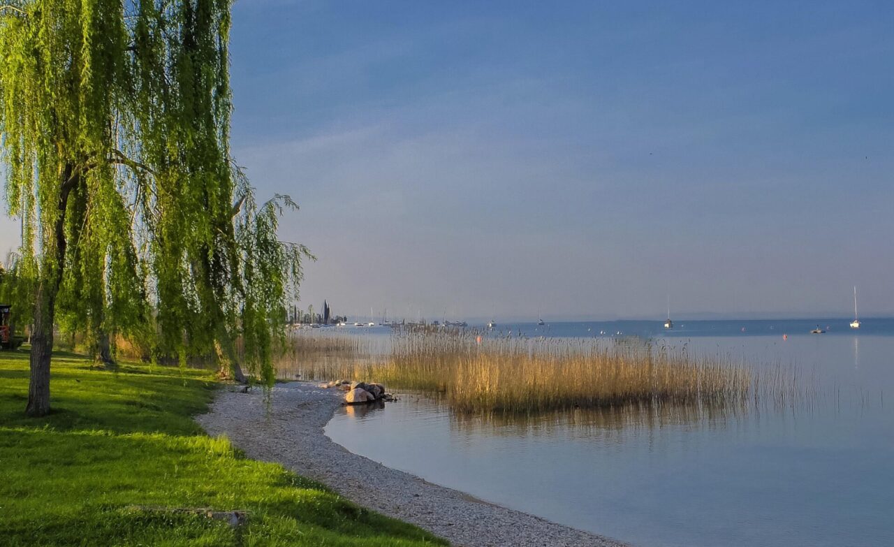 Partito a Bardolino il progetto biennale per la tutela dell’ecosistema lacustre