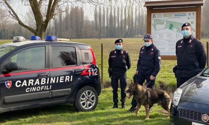 Scoperto mentre cede della droga al Parco Valle del Menago, nei guai un 23enne