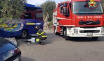 Tragedia a Malcesine: autista muore schiacciato dal proprio autobus