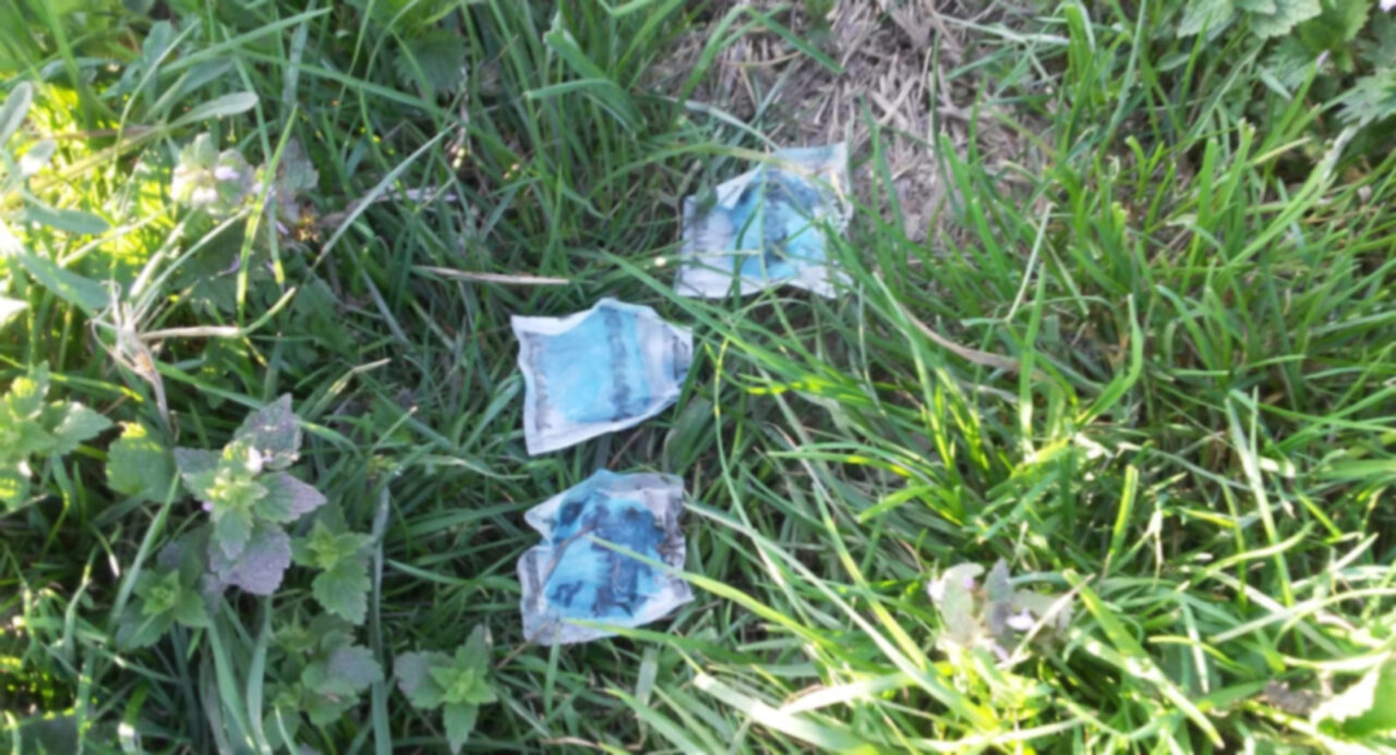 Trovate numerose esche topicida lungo un fossato a Nogara