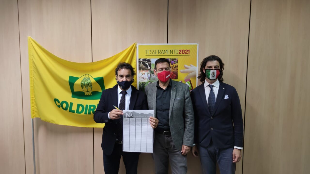 No al fotovoltaico a terra, Bussolengo sostiene la battaglia degli agricoltori veneti