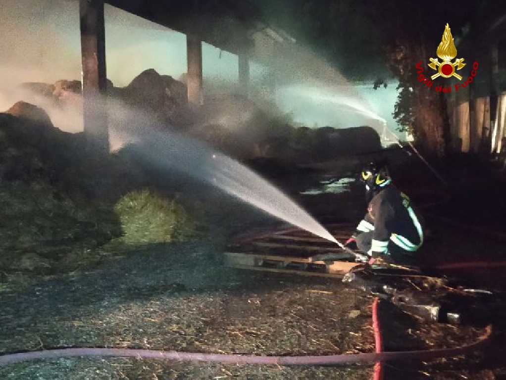Le foto e il video del grosso incendio in un fienile a Minerbe: salvate 500 mucche