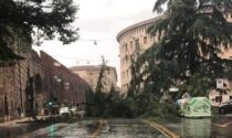 In arrivo in Veneto 10,8 milioni dal Governo per i danni causati dal maltempo nell'agosto 2020