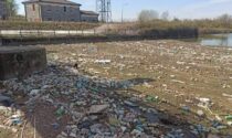 Rifiuti di plastica nel Canalbianco, Bigon (PD): "Urgente bonificare l’area"