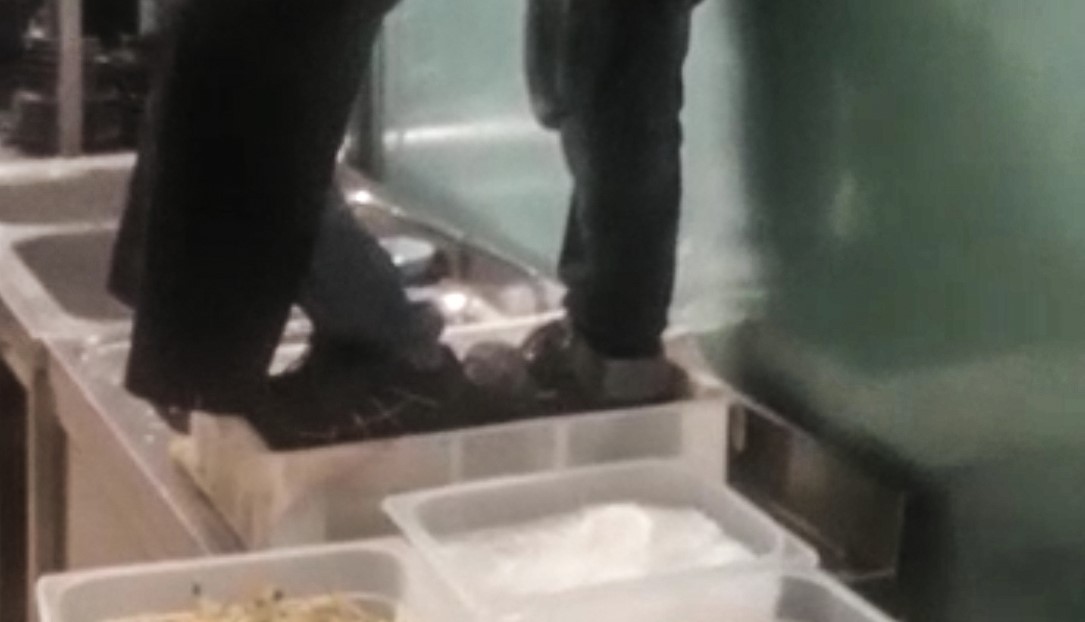Il disgustoso “segreto” degli involtini primavera: erano fatti  con i piedi!