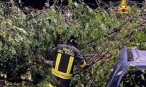 Maltempo a Verona: alberi caduti ed edifici pericolanti, 81 interventi dei Vigili del Fuoco