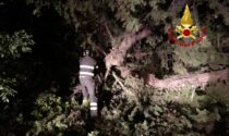Maltempo abbatte degli alberi: feriti due motociclisti, uno è grave