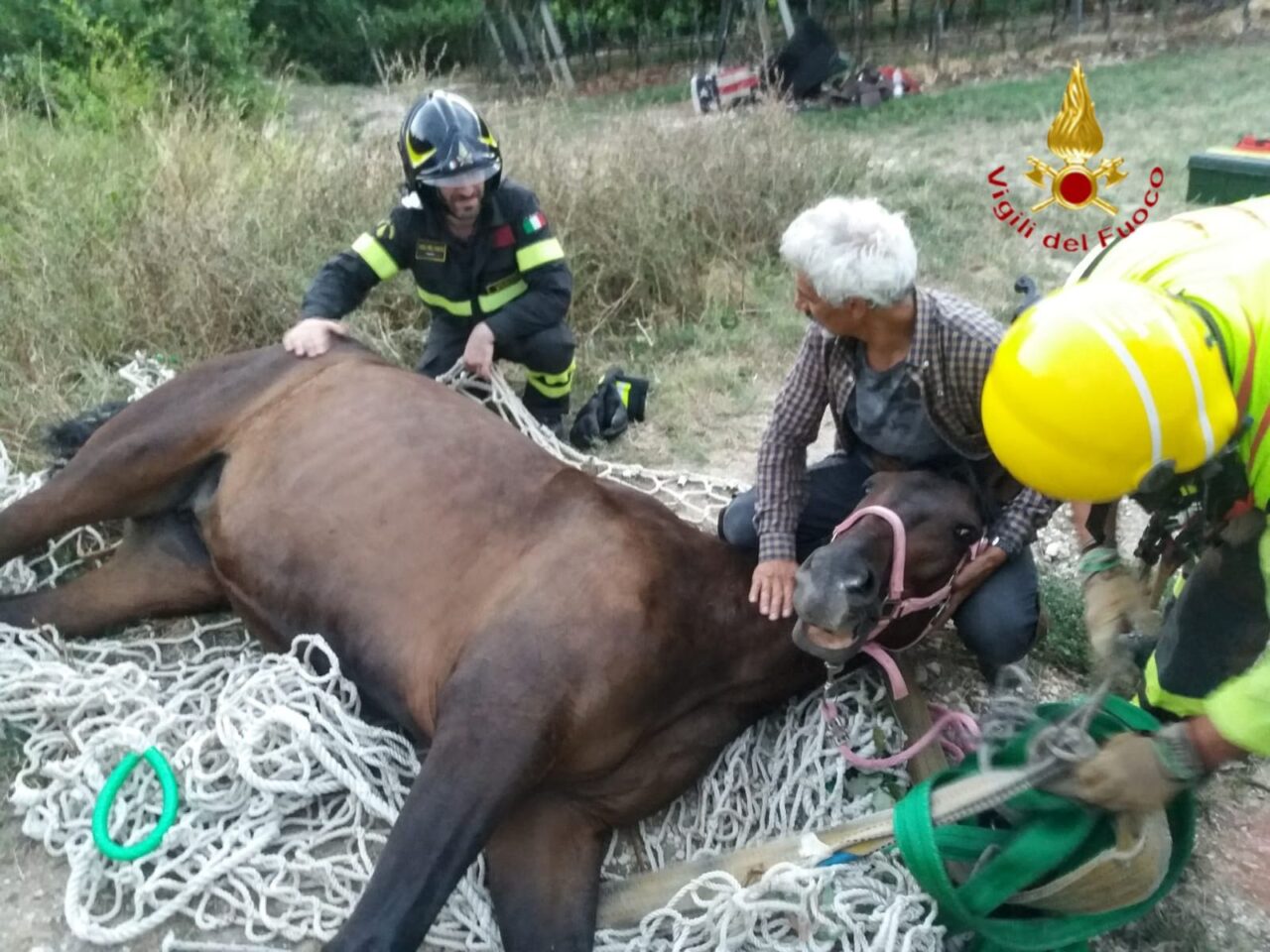 Donna scivola col suo cavallo nella scarpata, le immagini dei soccorsi