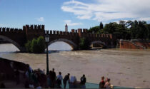 Attesa la piena dell'Adige, picco previsto a Verona e Legnago. Sboarina: "Chiuse le alzaie"