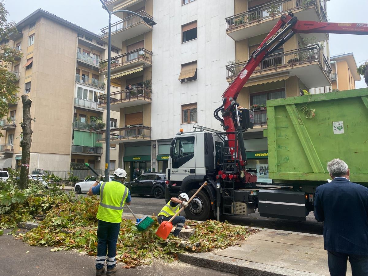Taglio alberi in Via Todeschini, Sboarina: “Perizie con il grado più alto di pericolosità”