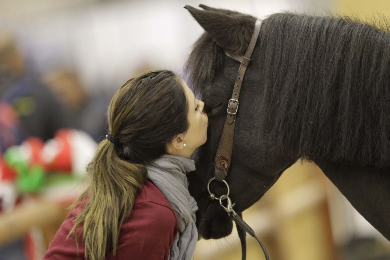 Fieracavalli 2021: doppio weekend  per la 123esima edizione del salone dedicato al mondo equestre