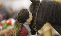Fieracavalli 2021: doppio weekend  per la 123esima edizione del salone dedicato al mondo equestre