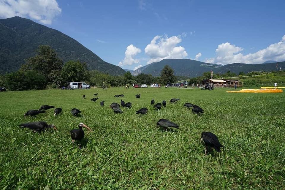 Il campo all’arrivo della seconda tappa, migrazione 21