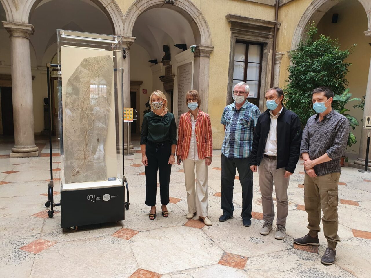 Eccezionali reperti di Bolca in mostra al museo di storia naturale
