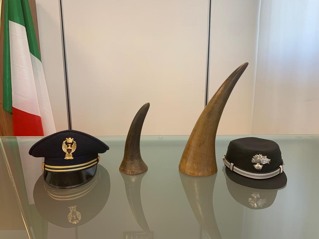 Aeroporto Catullo, trovati due corni di rinoceronte nel parcheggio