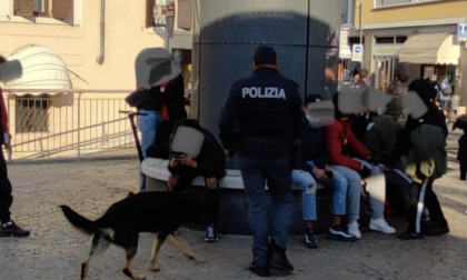 Il cane Tarol fiuta della droga nel calzino di un minorenne