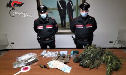 Venditore di canapa light arrotonda con hashish e marijuana