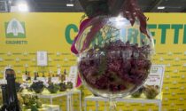 Profumi e caramelle realizzati con i vini tipici veronesi: lavoro a 1,3 milioni di persone