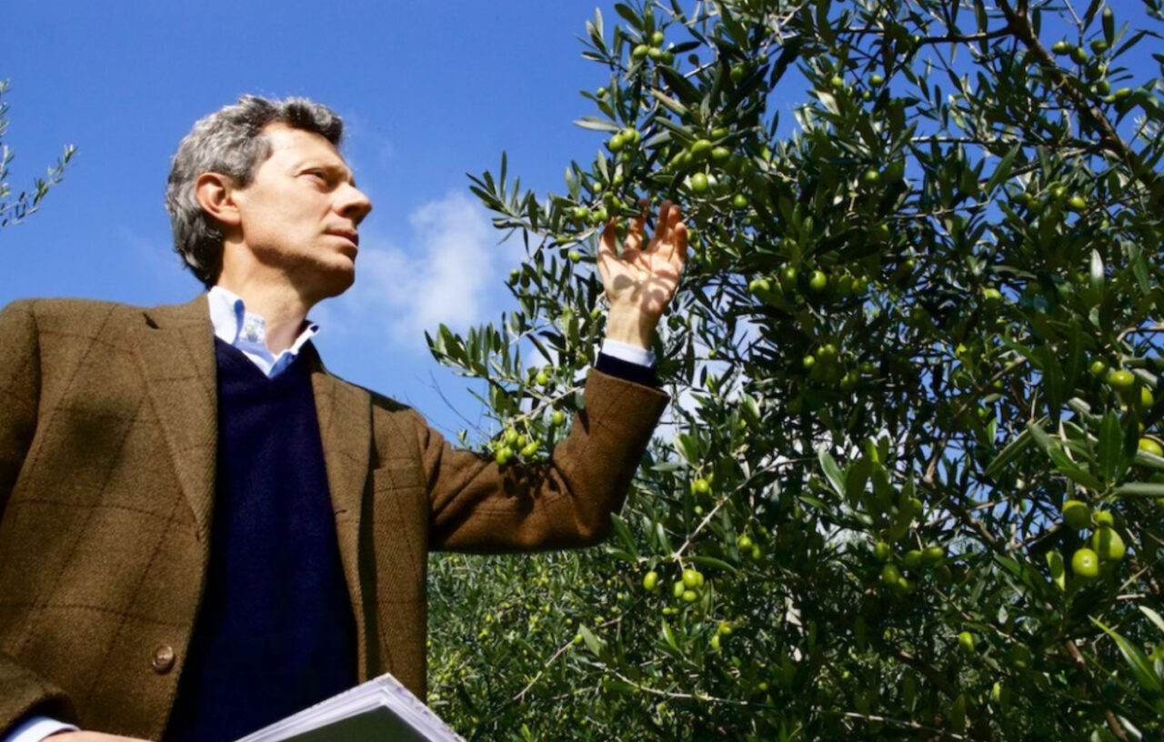 Olio Grand Cru TreFòrt di Paolo Bonomelli premiato come “Miglior Extravergine Assoluto”