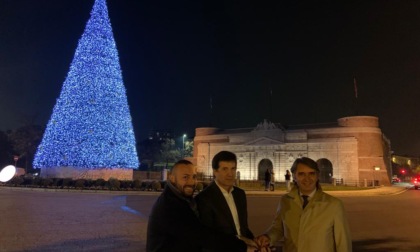 Acceso a Porta Nuova il grande albero di Natale Bauli, Sboarina: “Momento atteso con gioia”