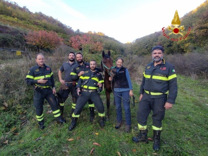 Dopo una caduta il cavallo si spaventa e fa perdere le sue tracce: ritrovato dopo quasi un mese