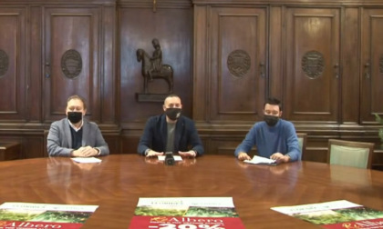 Ri-albero 2021: smaltimento corretto dei vecchi alberi di Natale