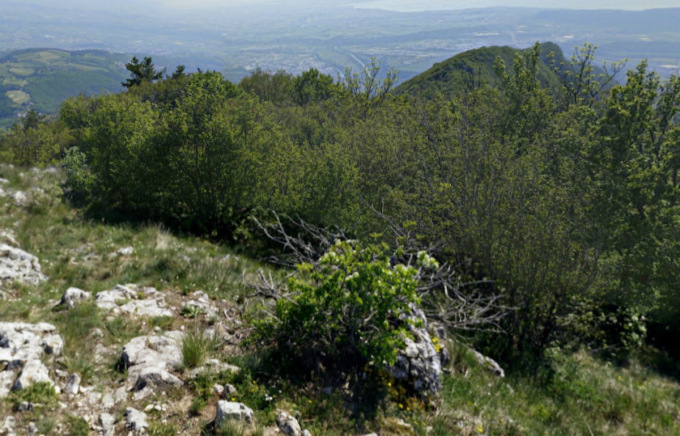 Escursionista sviene lungo il sentiero del Monte Pastello, aiutata dal soccorso Alpino