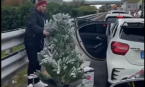 Esasperato dalla coda fa l'albero di Natale in autostrada