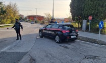 Castelnuovo del Garda, arrestato il ladro delle motoseghe