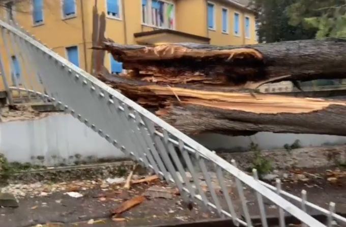 Tragedia sfiorata ad Avesa: albero all’interno della scuola di Avesa cade sulla strada