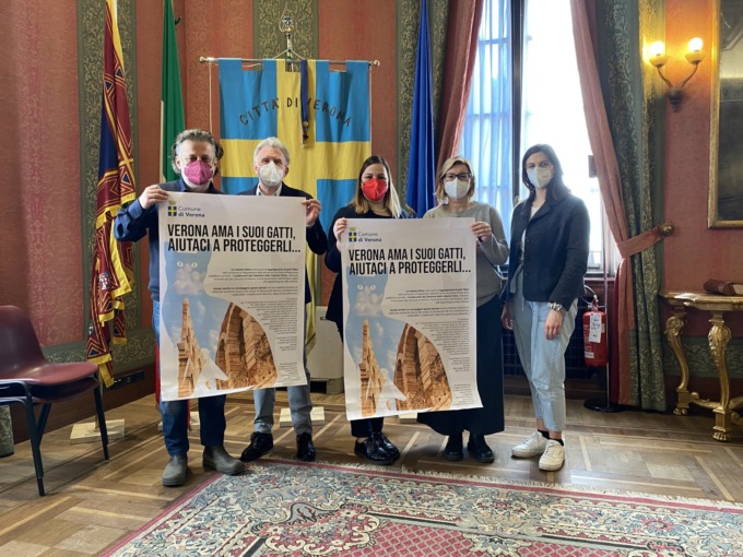 Verona capofila nella tutela dei felini con il primo albo di “gattari”
