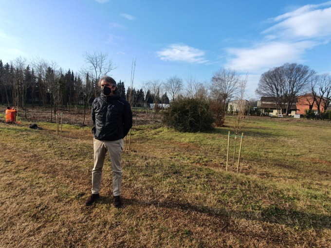 Riforestazione urbana: parte la piantumazione di quasi 4mila nuovi alberi