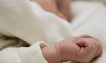 Allerta bronchioliti a Verona: in 24 ore più di 100 bimbi in ospedale