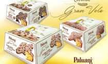 Pasqua 2022, Paluani riprende la produzione dei dolci: protagonista la colomba "Gran Velo"