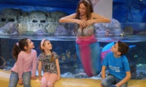 Gardaland Sea Life Aquarium si tinge di leggenda con l'arrivo delle sirene, previsti 5 appuntamenti