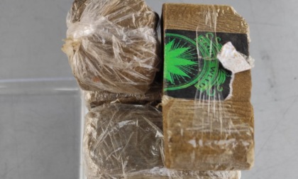 I cani Pico e Axel scovano hashish sotterrato sui Bastioni