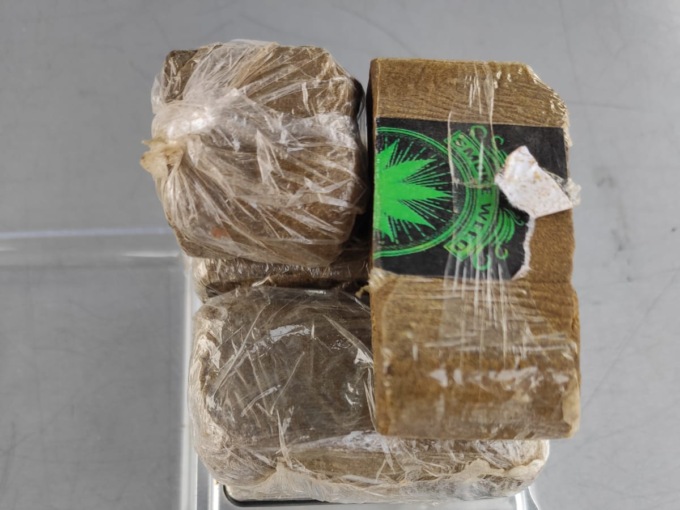 I cani Pico e Axel scovano hashish sotterrato sui Bastioni