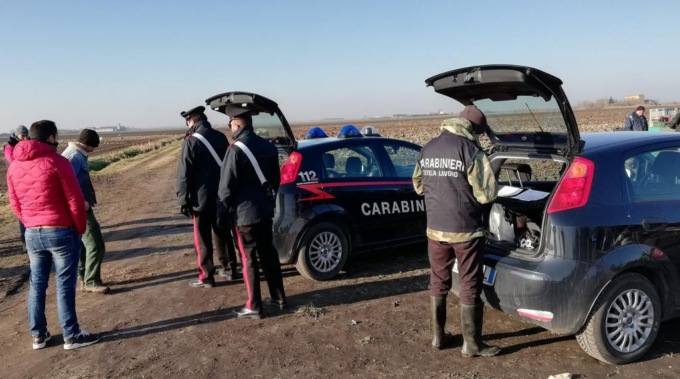 Sfruttamento del lavoro nella cooperativa agricola a Cologna Veneta: un altro arresto