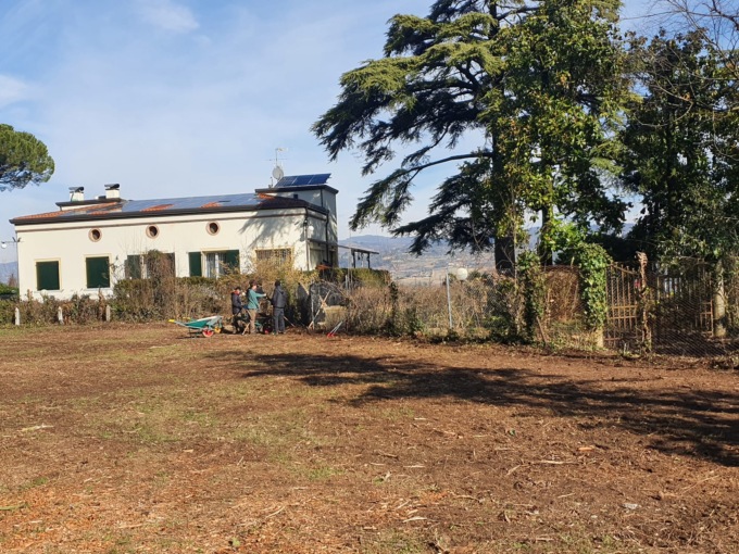 Ripulita l’area verde al Chievo: nuovo polmone per il quartiere attorno a Villa Pullè