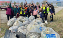 Lotta contro la plastica: Plastic Free e cittadini in due ore a Legnago hanno raccolto 550 chili di rifiuti