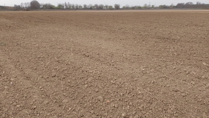 Siccità da mesi, Coldiretti Verona: “A rischio le semine e i prati”