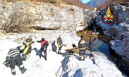 Trovato nelle acque dell'Astico il corpo privo di vita del 30enne Damiano